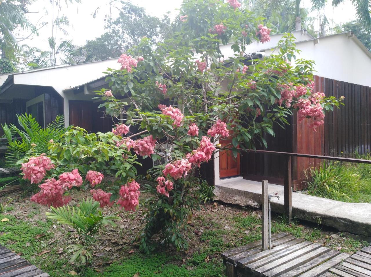 Ceiba Tops Santa Teresa  Bagian luar foto